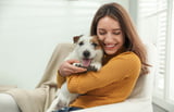 Lieber Hund statt Kind Millennials lieben Haustiere mehr